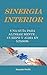 Sinergia Interior: Una guía para alinear mente, cuerpo y alma en 5 pasos. (Spanish Edition)