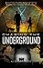 Chasing the Underground (AIM Chronicles #2)