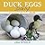 Duck Eggs Daily: Raising Happy, Healthy Ducks...Naturally