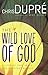 The Wild Love of God: A Journey that Heals Life's Deepest Wounds