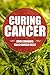 Curing Cancer: cancer can be cured and this is the cancer battle plan, a guide for cancer care and cancer healing (cannabis and cancer the only cancer treatment you need Book 1)