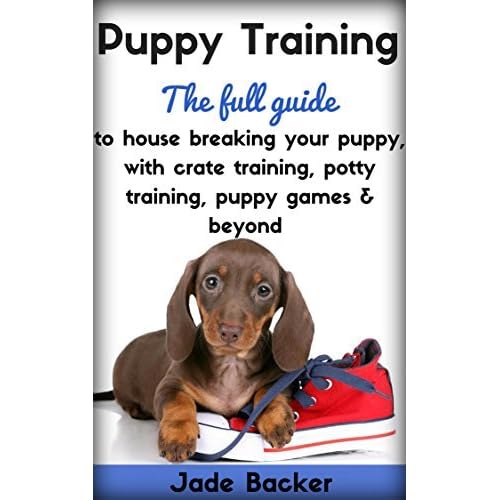 dog breaking house training