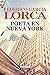 Poeta en Nueva York (ilustrado) (Spanish Edition)