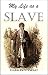 My Life as a Slave (1884)