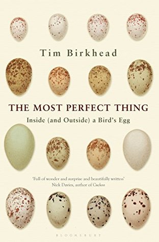 The Most Perfect Thing Inside And Outside A Bird S Egg By Tim Birkhead