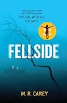 Fellside