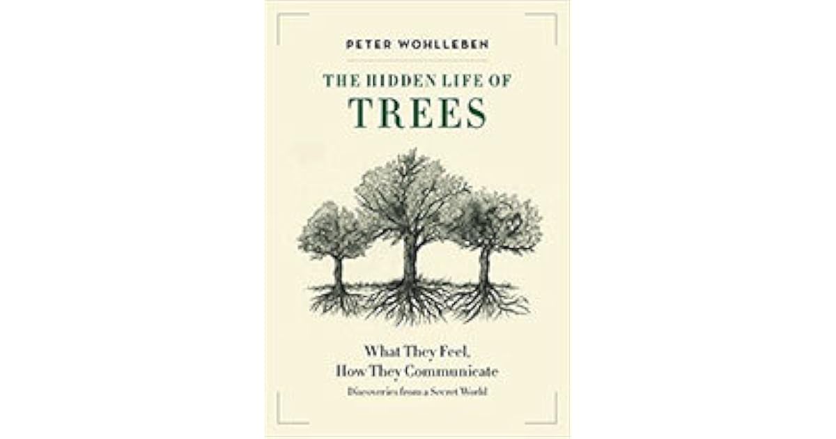 The Hidden Life of Trees: What They Feel, How They Communicate