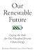 Our Renewable Future by Richard Heinberg