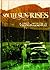 South Sun Rises: A Bilingua...