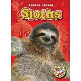 Sloths (Animal Safari)
