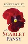 A Scarlet Pansy