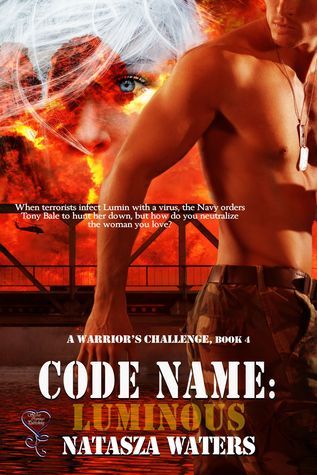 Code Name: Luminous (A Warrior's Challenge, #4)