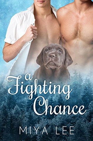 A Fighting Chance (Wild Heart #1)