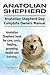 Anatolian Shepherd Dog. Anatolian Shepherd dog book for costs, care, feeding, grooming, training and health. Anatolian Shepherd dog Owners Manual.
