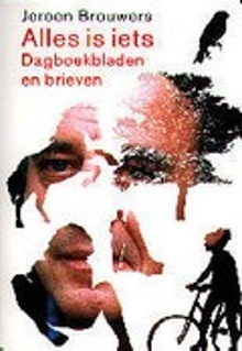 Alles is iets: dagboekbladen en brieven (Paperback)