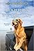 Boomer's Bucket List by Sue Pethick Boomer's Bucket List by Sue Pethick