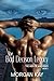 The Bad Decision Legacy: A Romantic Suspense