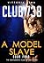 Club 738: A Model Slave: Part Four