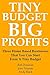 TINY BUDGET, BIG PROFITS: T...