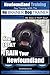Newfoundland Training | Dog Training with the No BRAINER DogTRAINER ~ We Make it THAT Easy!: How to EASILY TRAIN Your Newfoundland