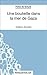 Une bouteille dans la mer de Gaza de Valérie Zénatti (Fiche de lecture): Analyse complète de l'oeuvre (FICHES DE LECTURE) (French Edition)