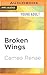 Broken Wings (Hidden Wings, #2)