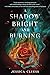 A Shadow Bright and Burning...