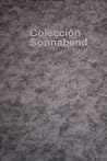 Colección Sonnabend - 25 anõs de selección y de actividad