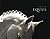 Equus