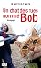 Un chat des rues nommé Bob