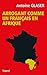 Arrogant comme un français en Afrique (French Edition)