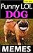 Memes: Funny LOL Dog Memes ...