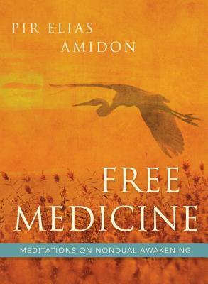 Free Medicine: Meditations on Nondual Awakening (Paperback)