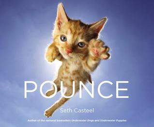 Pounce (Hardcover)