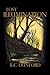 Lost Illumination by K C Dunford