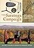 The Saratoga Campaign: Uncovering an Embattled Landscape