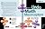Activities to Undo Math Misconceptions, Grades 3-5