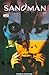 The Sandman N.12