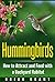 Hummingbirds: How to Attrac...