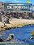 Flyfisher's Guide to California by Greg Vinci
