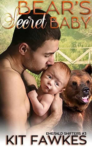 Bear's Secret Baby (Emerald City Shifters, #3)