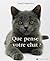 Que pense votre chat ?