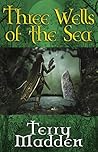 Three Wells of the Sea by Terry  Madden