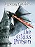 The Glass Prison: A Demorsis Novel