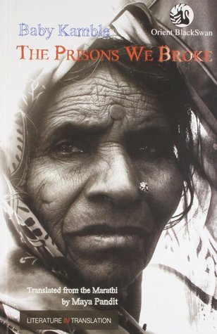 The Prisons We Broke (Paperback)