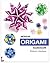 Modular Origami Kaleidoscope: 30 Models You Can Do Yourself