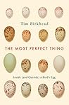 The Most Perfect ...