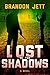 Lost to the Shadows