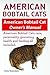 American Bobtail Cats. American Bobtail Cats care, personality, grooming, health and feeding all included. American Bobtail Cat Owners Manual.