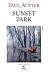 Sunset Park by Paul Auster